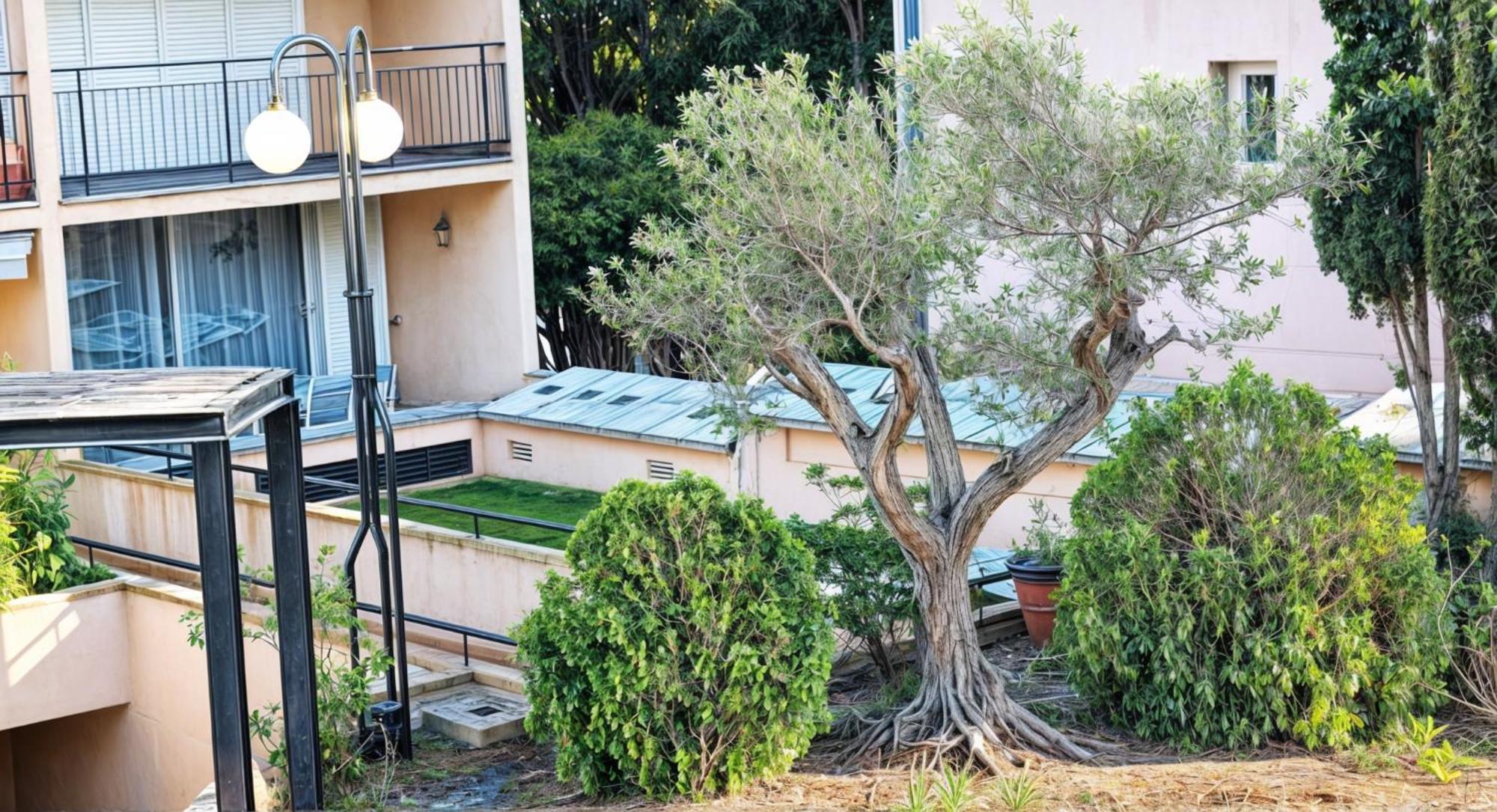 Precioso Apartamento Reformado En 1Ra Linea De Mar Sin Vistas กาเลญา เด ปาลาฟรูเจล ห้อง รูปภาพ